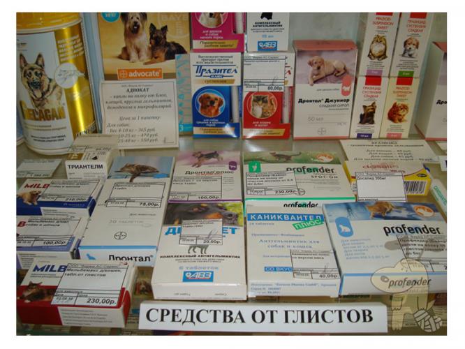 применять от глистов применять от глистов