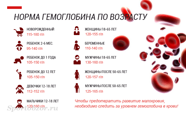 Норма гемоглобина у женщин и мужчин по возрасту - таблица