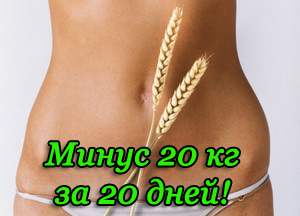 Похудеть за 2 месяца фото до и после