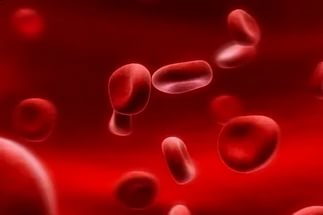 Анализы крови: норма и расшифровка результатов