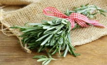 Чем полезен розмарин?