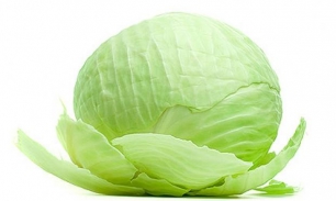 калорийность капусты