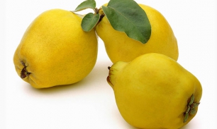 айва калорийность бжу