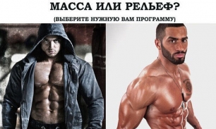 Над чем лучше работать новичку: рельефом или массой?