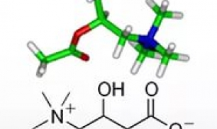 В каких продуктах содержится L-карнитин