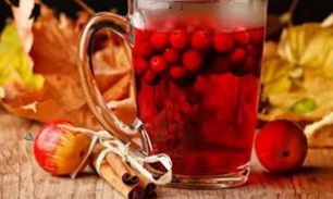 Отвар шиповника при запорах