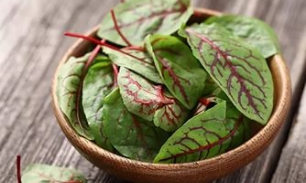 Полезные свойства листьев свеклы