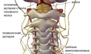 Причины и лечение хруста в шее у основания черепа