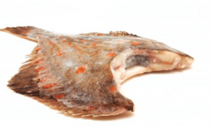 камбала пищевая ценность и бжу