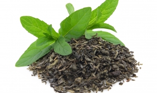 зеленый чай: сколько можно пить без вреда для организма