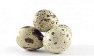 Перепелиные яйца при гастрите