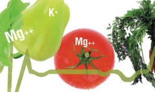 Продукты, богатые калием и магнием