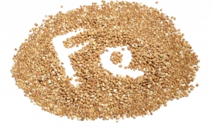 Богатые железом продукты, не содержащие мясо
