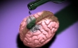 Влияние алкоголя на мозг - вред и последствия