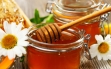 Лечение гастрита с повышенной кислотностью медом