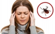 Что делать, если после укуса клеща сильно болит голова?