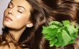 Чем полезны листья крапивы для волос