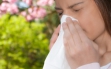 Аллергия на цветение у взрослых: разновидности, симптомы, лечение