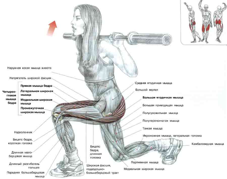 �������� Golden Dragon ������� �����: ����.