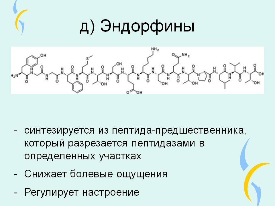 Гормон эндорфин картинка
