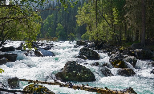 Шумные воды Горного Алтая между Мультинскими озерами