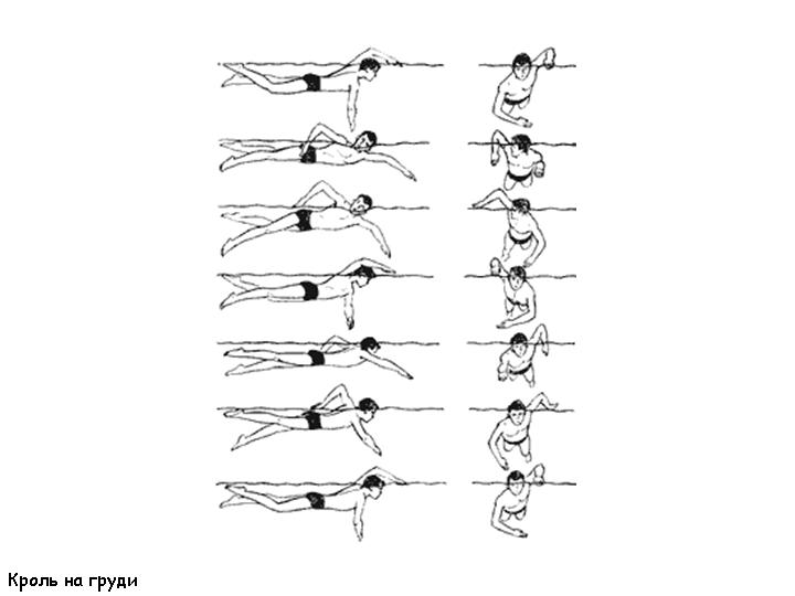 Упражнения научиться плавать. Кроль техника плавания Кроль. Техника плавания кролем для начинающих. Техника плавания кролем пошагово для начинающих. Как правильно плавать кролем на груди.