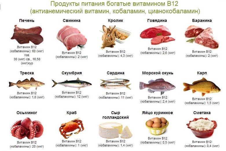 Vitamin V12 V Kakih Produktah Soderzhitsya Bolshe Vsego