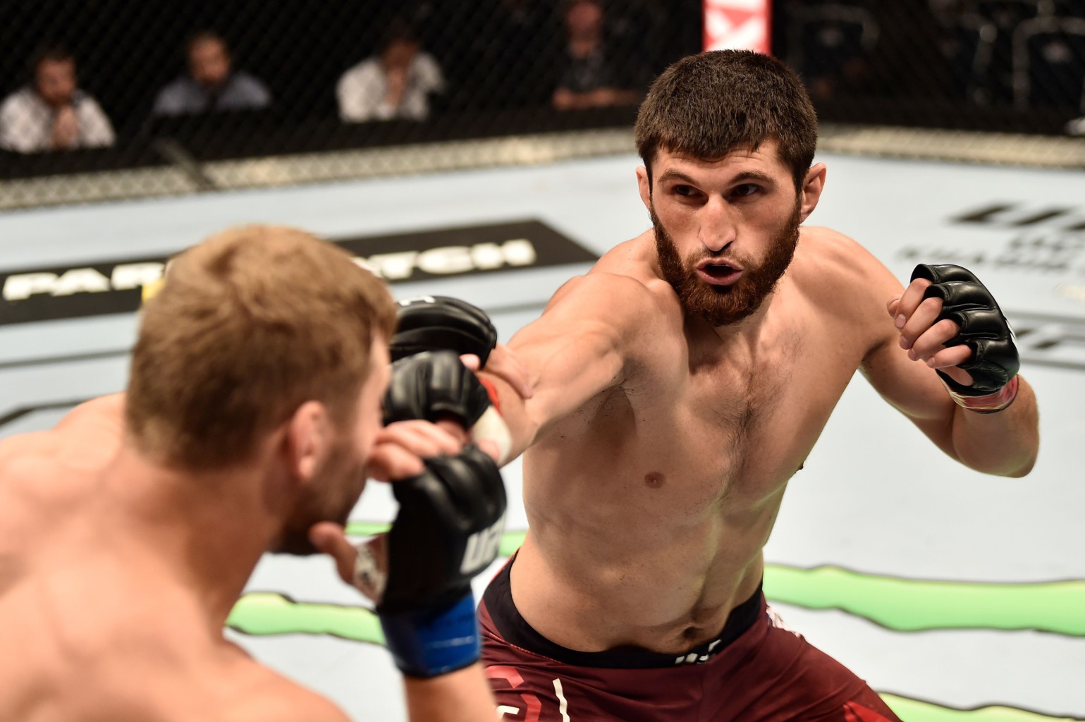 Магомед Анкалаев боец UFC